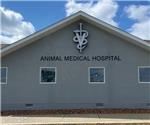 Animal Medical Hospital: Custom Internally Illuminated Channel Logo Wall ID Sign