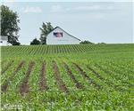 Reed Family: Custom Barn Flag Sign