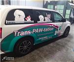 Pampered Paws - Custom Van Graphics